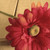:iconsabeehakamdar: