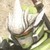 :iconsabergod99: