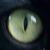 :iconsaberumbra:
