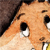 :iconsabillus: