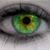 :iconSabiring: