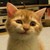 :iconsable666: