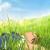 :iconsableorchid: