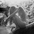 :iconsabotboy1966: