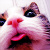 :iconsabriel-star: