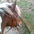 :iconsabrina-casy: