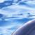 :iconsachmet-bwby: