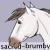 :iconsacred-brumby:
