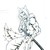 :iconsacredblackblood: