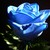 :iconsacredbluerose: