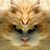 :iconsacredless: