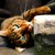 :iconsacredshadowseeker:
