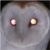:iconsacridshadow: