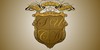 :iconsacrisanimamacademy: