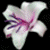 :iconsadbrokenwings: