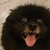 :iconsaddampro: