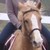 :iconsaddlegirl234: