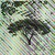 :iconsaddlesketch: