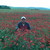 :iconsadek29:
