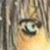 :iconsadicart:
