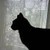 :iconsadness-rain:
