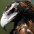 :iconsaehr-windlord: