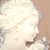 :iconsafari99: