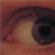 :iconsafcio: