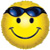 :iconsafe-t: