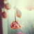 :iconsafepinthroughbones: