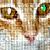 :iconsafety-pin-ella: