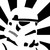 :iconsafouane: