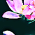 :iconsafronrey: