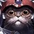 :iconsagant: