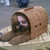 :iconSage-Lion:
