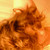:iconsagecatforesteyes: