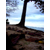 sagethegardener :iconsagethegardener: