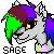 :iconsagey1346: