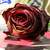 :iconsaggezza23: