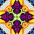 :iconsagnamos1762: