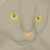 :iconsahbaroni: