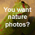 :iconsahroe: