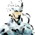 :iconsahun: