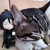 :iconsai-nekosuki: