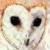 :iconsaid-the-flounder: