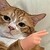 :iconsaid1807: