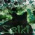 :iconsaiki-spirt: