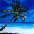 :iconsailcaribbean: