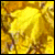 :iconsailor-moon0909: