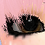 :iconsailormeo:
